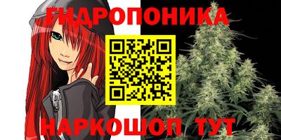 мдпв Ставрополь