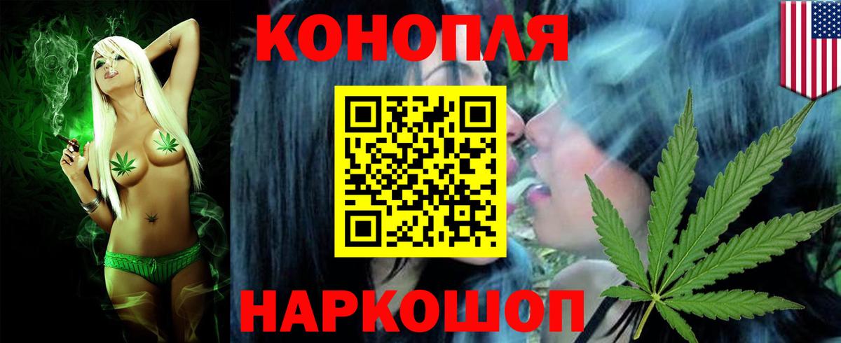 Шишки марихуана White Widow  Вход с VPN  Конопля план  Борзя 